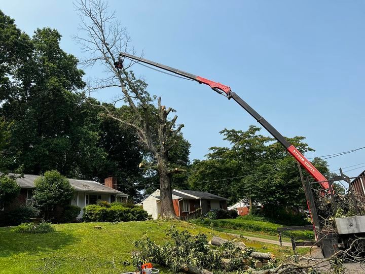 A crane is cutting down a tree in front of a house.