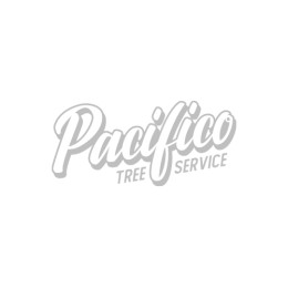Pacifico Tree Service by Los Rios Branding Company Pacifico Tree Service by Los Rios Branding Company
