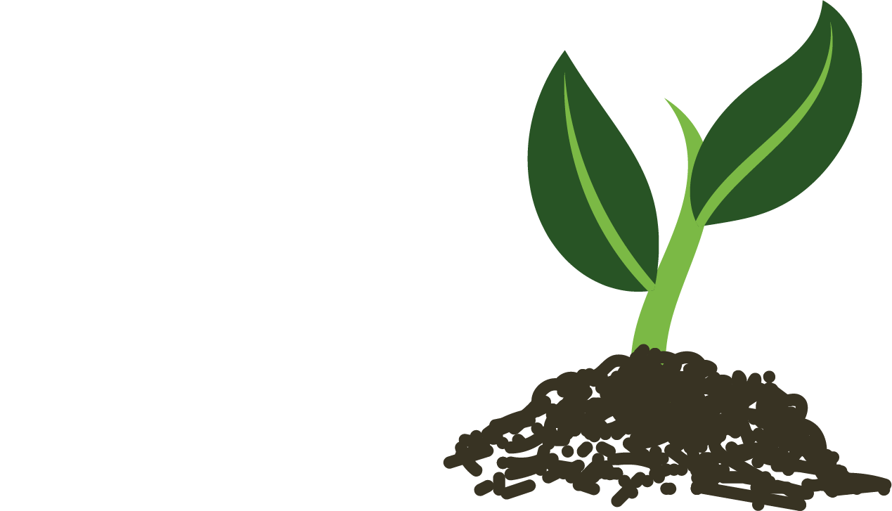 A small green sprout growing out of a mound of dark brown soil against a white background.