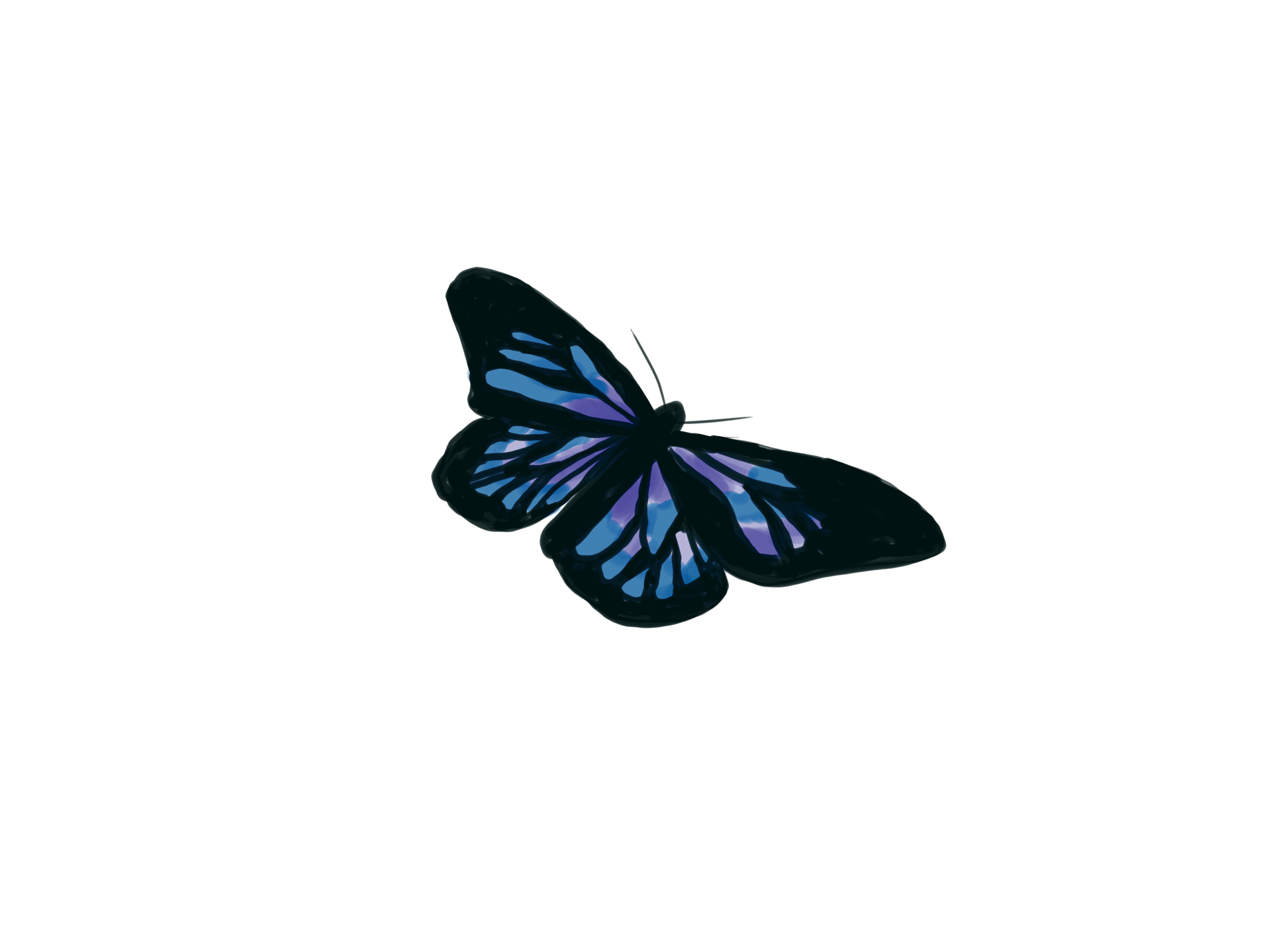 A butterfly with dark, patterned wings featuring shades of blue and purple, isolated against a white background.