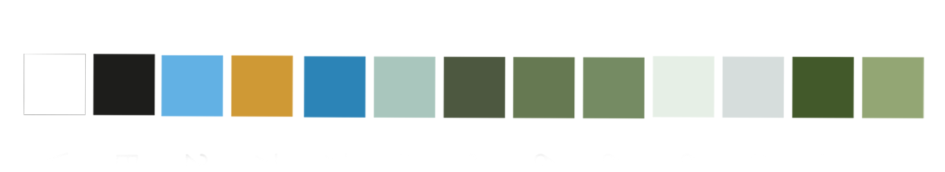 A row of thirteen small squares in various colors, including white, black, blue, yellow, gray, and shades of green.
