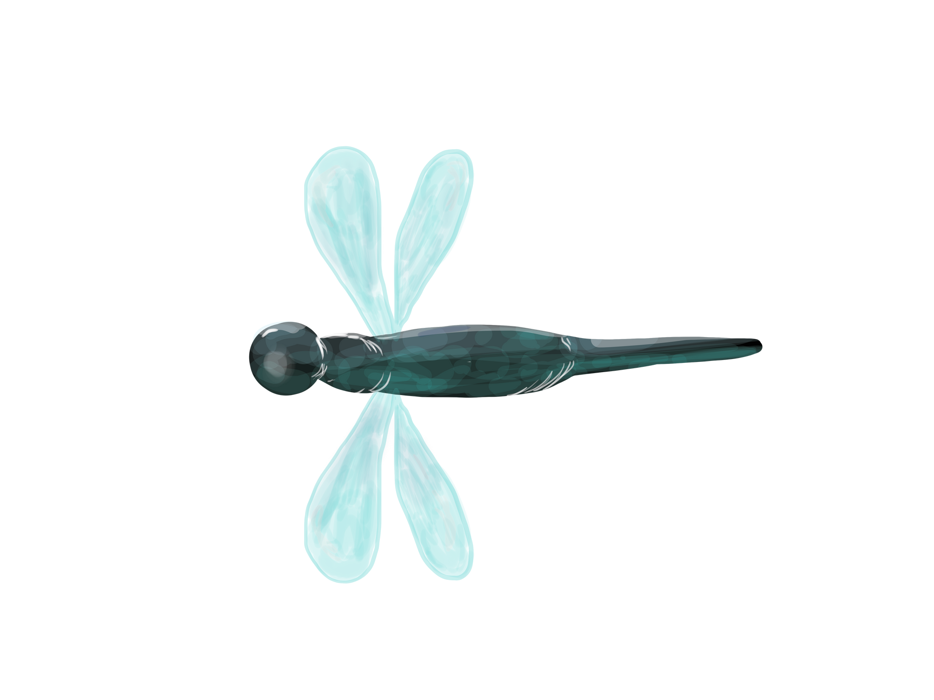 A stylized, watercolor-style illustration of a dark-bodied dragonfly with translucent, light blue wings.