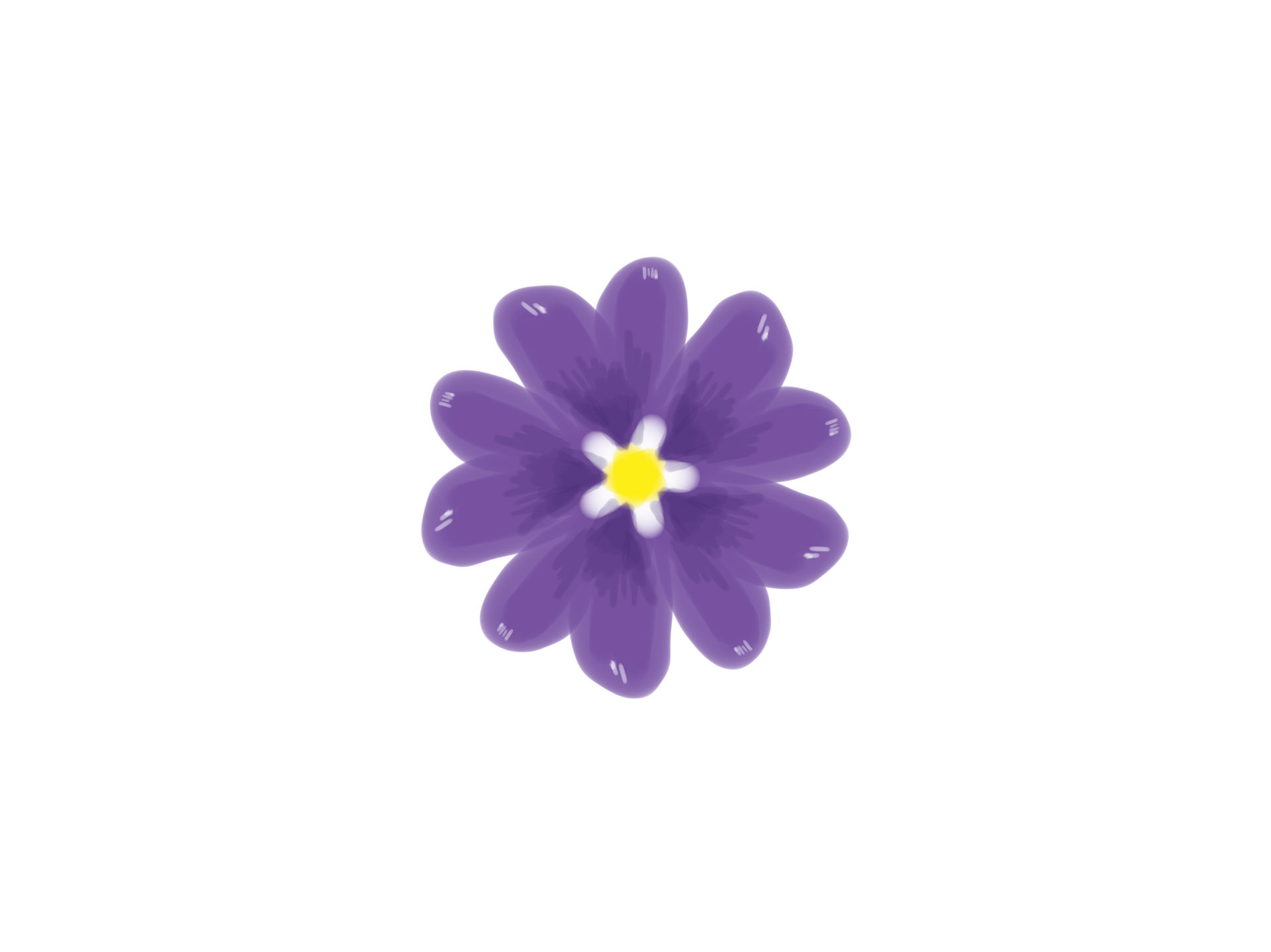 A purple flower with rounded petals and a small, bright yellow center on a plain white background.