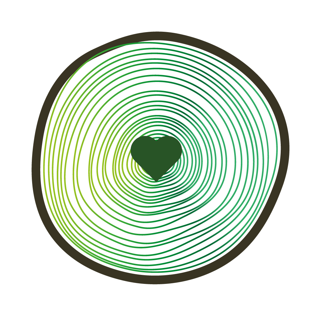 A dark green heart centered within concentric, gradient green circles on a white background, resembling tree rings.