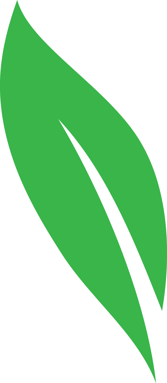 A stylized graphic of a green leaf composed of two curved, pointed segments.