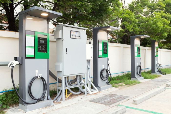 Row of electric vehicle charging stations with green displays along a tree-lined curb