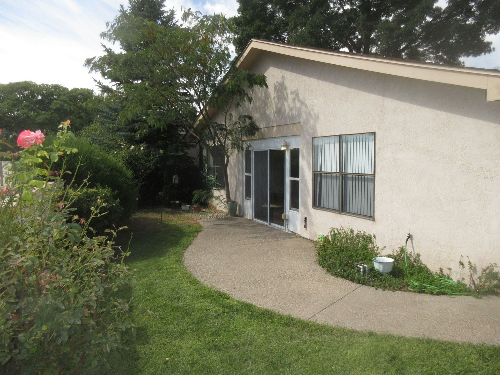 Exterior of a house with a concrete path winding through grass and garden, trees in background.