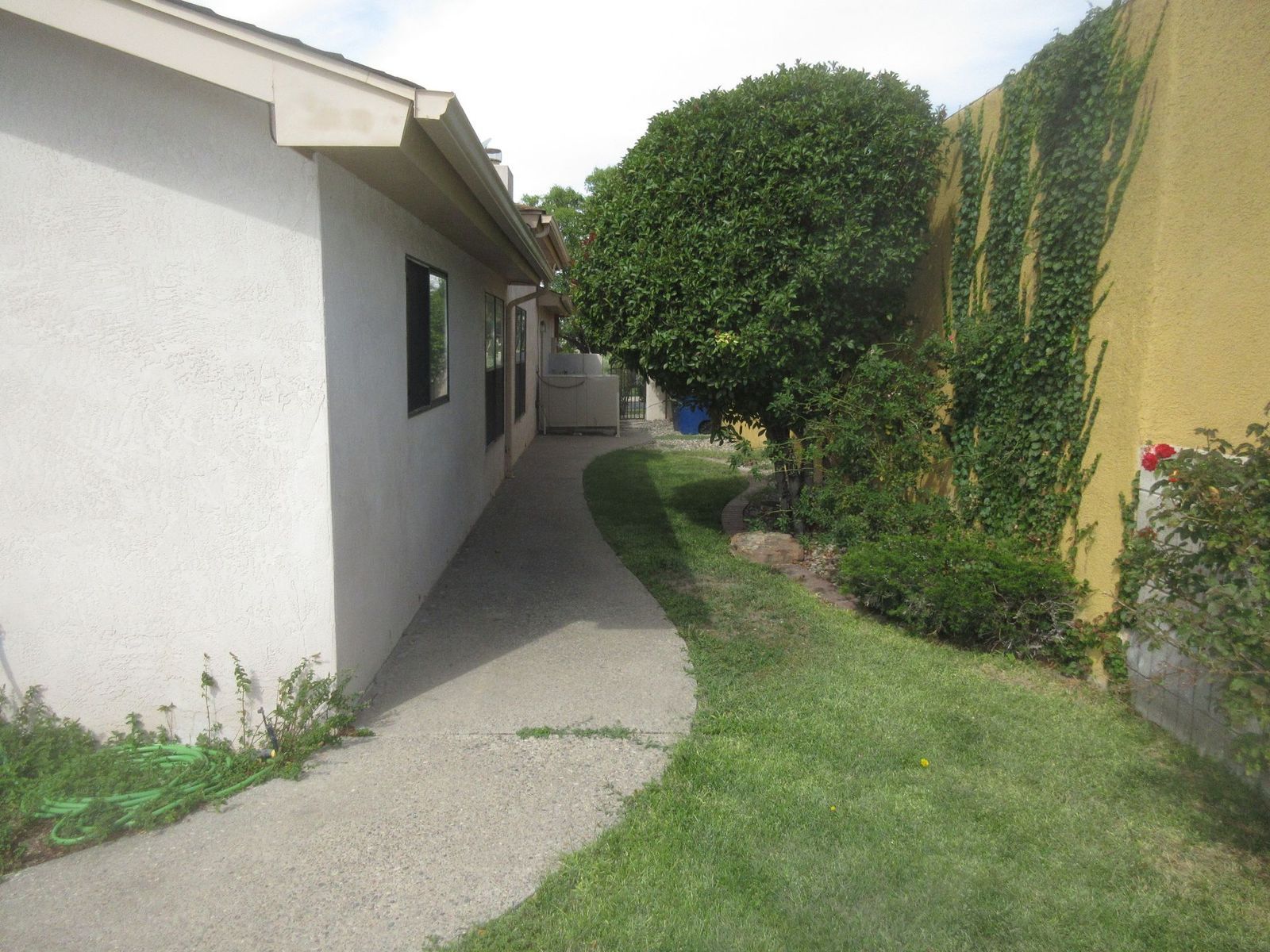 Pathway between white building and yellow wall with greenery.