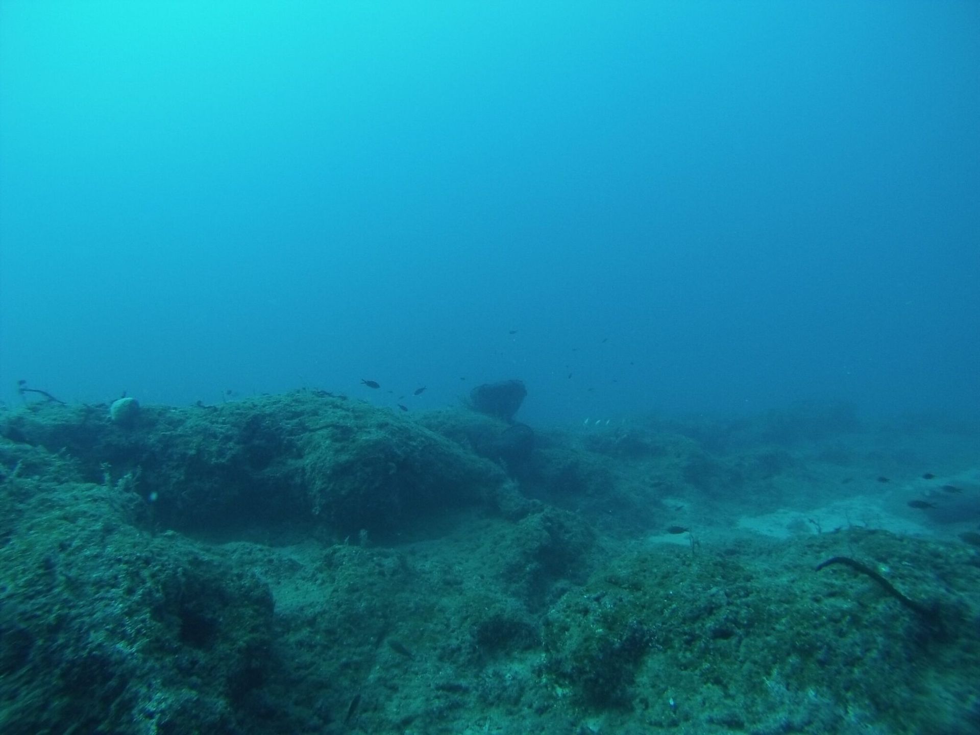 Malima Reef