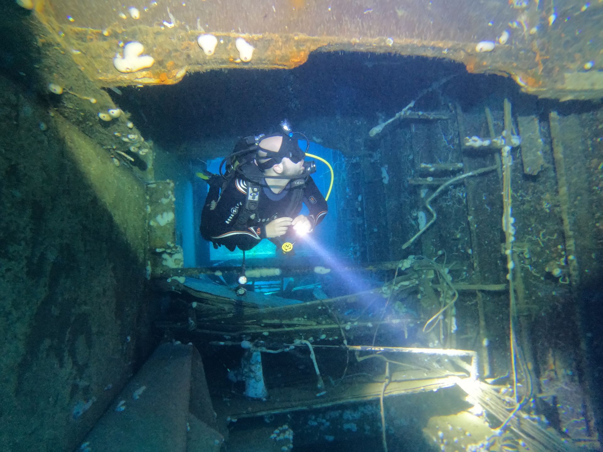 A scuba diver is swimming underwater in the ocean.