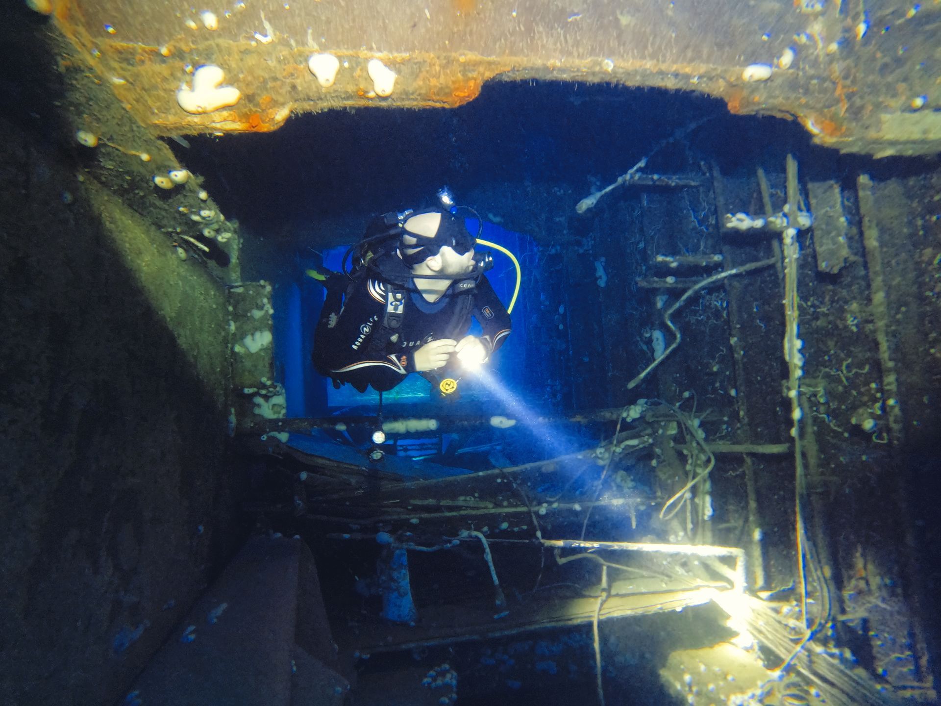 Solo Diver