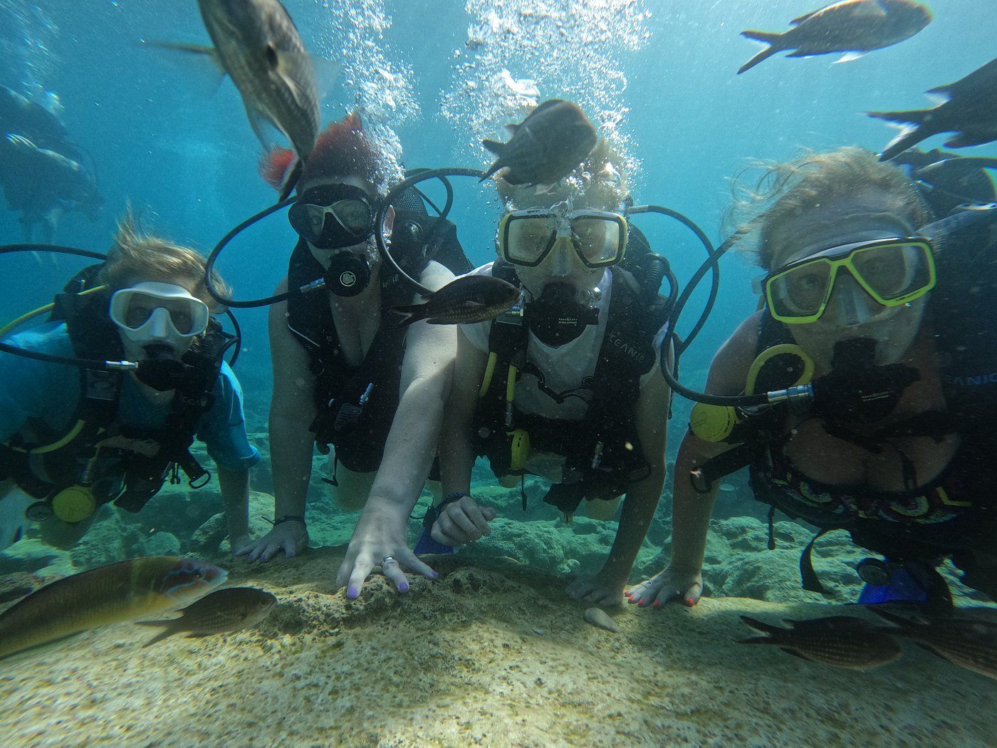 A group of people are scuba diving in the ocean.