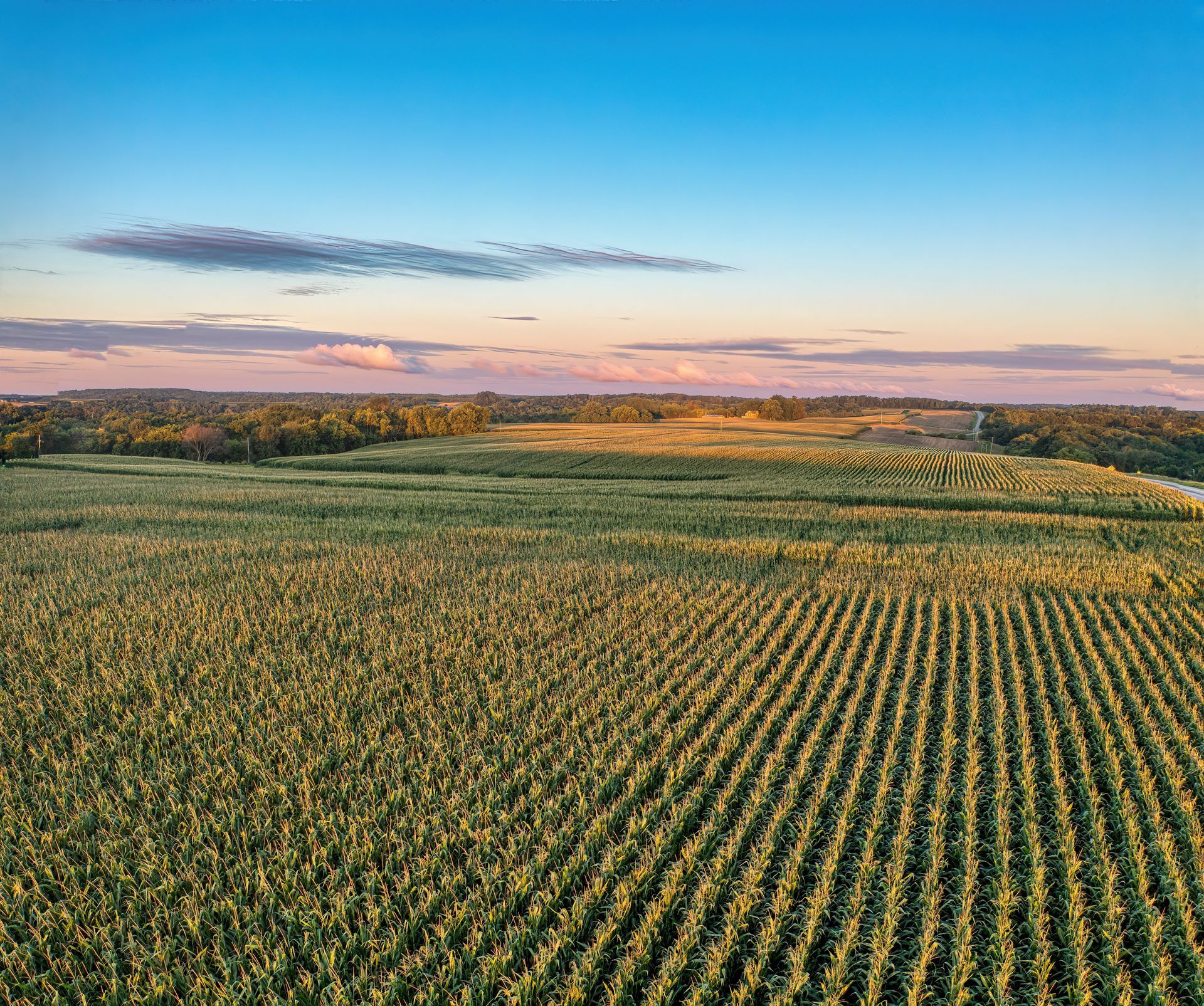 Aerial view of a vast green agricultural field under a blue sky at sunset