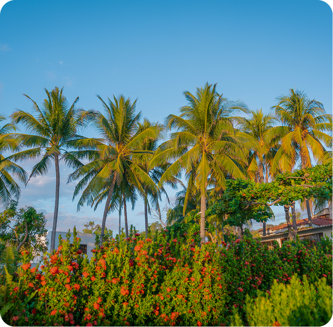 Lush palm trees rise above vibrant orange-flowering bushes under a clear blue sky.