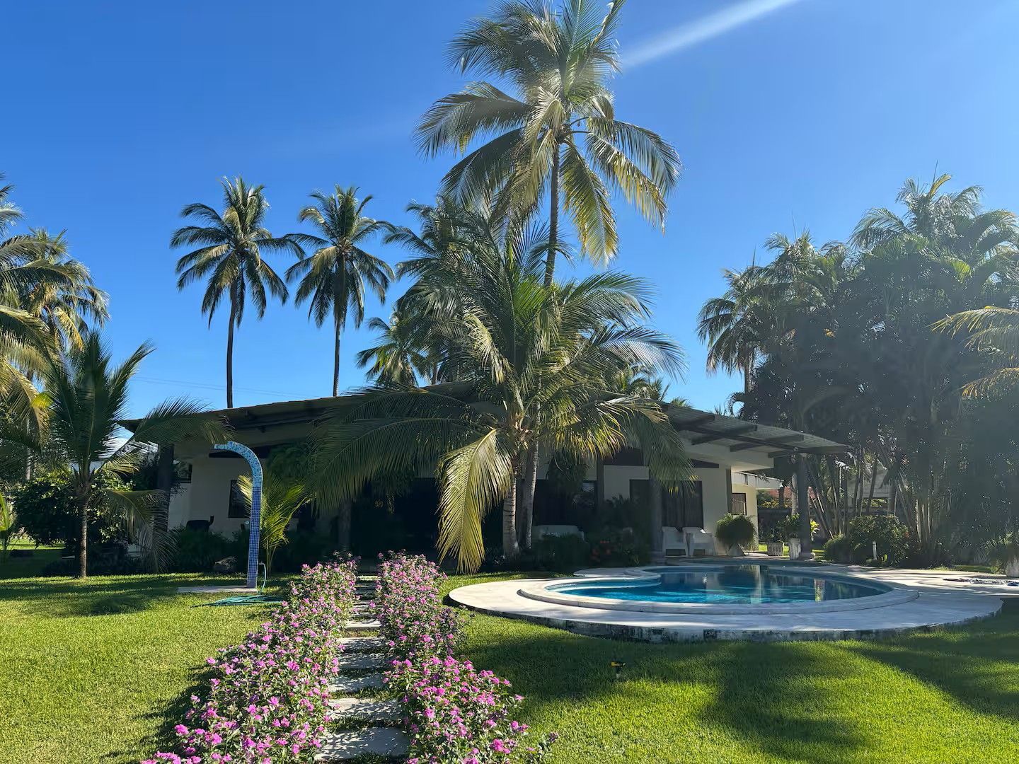 Tropical backyard with palm trees, flowering path, and a round swimming pool under a clear blue sky