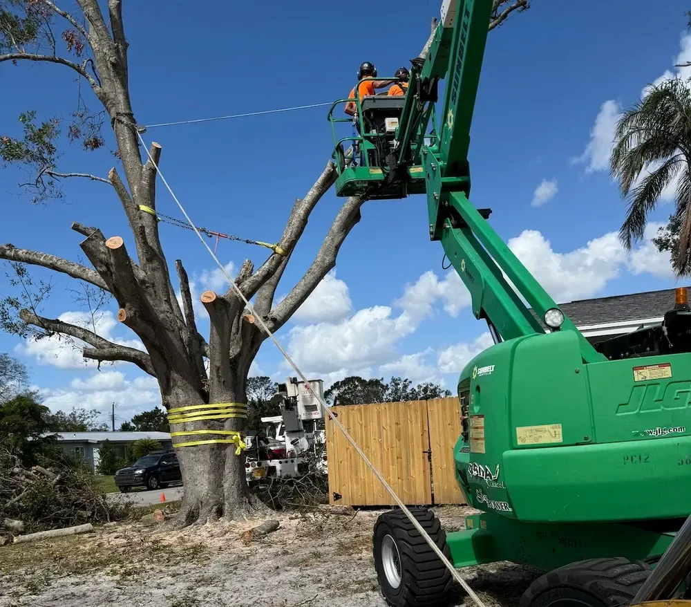 Worker in a boom lift cutting a storm-damaged tree to clear the roadway