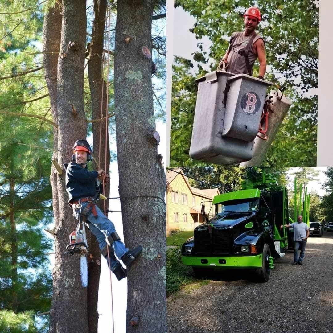 A man is climbing a tree next to a truck with the letter b on it