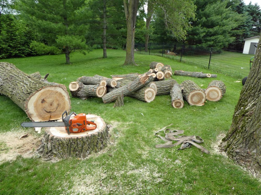 A chainsaw is sitting on a tree stump next to a pile of logs.