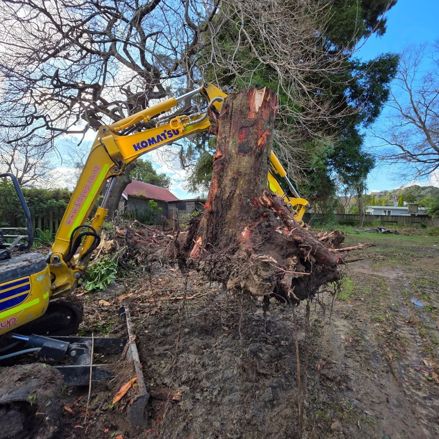 A large tree stump is being removed by a yellow excavator.