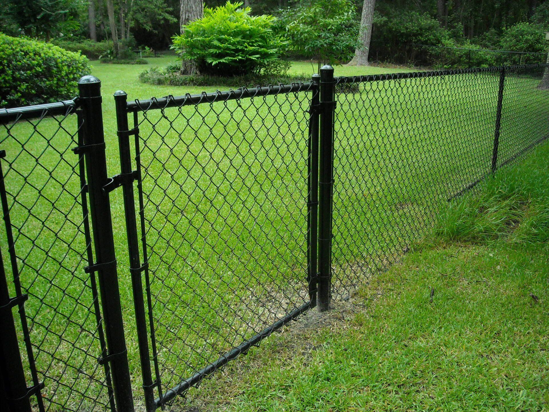 Black chain-link fence and gate enclosing a grassy yard.