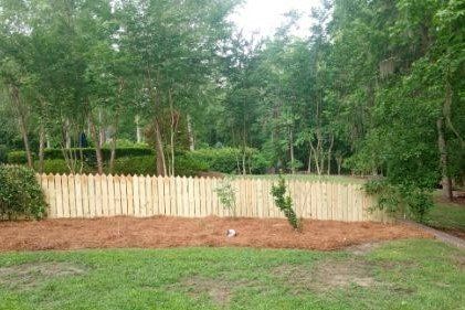 Wooden picket fence in a grassy yard, surrounded by mulch and trees.