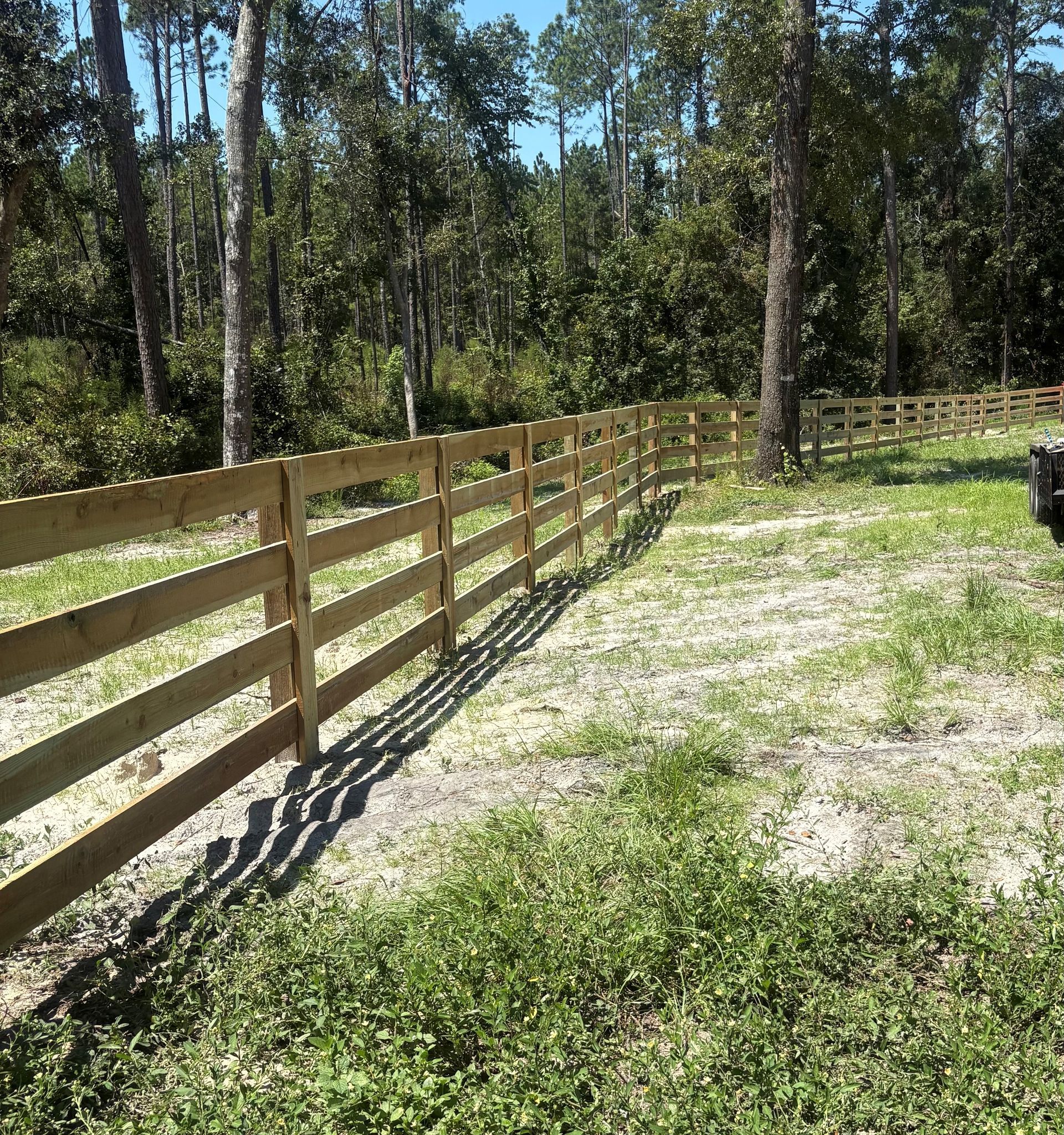 Wooden fence in grassy area, forest background.