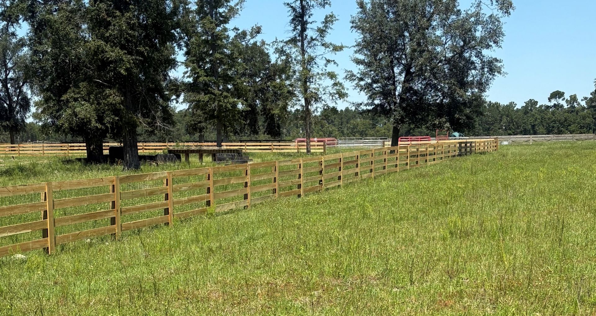 Wooden fence bordering a grassy field, trees in the background, blue sky.