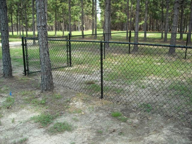 Black chain link fence surrounds trees in a wooded area. A gate is visible.