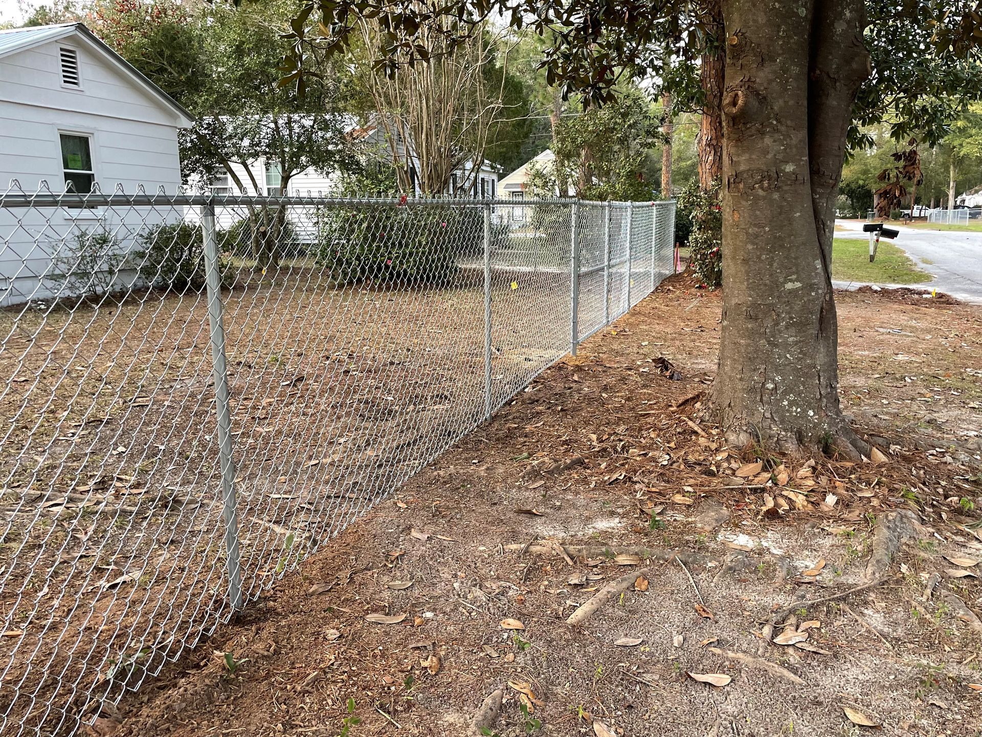 Chain-link fence borders a yard with a tree on the right and a white house in the background.