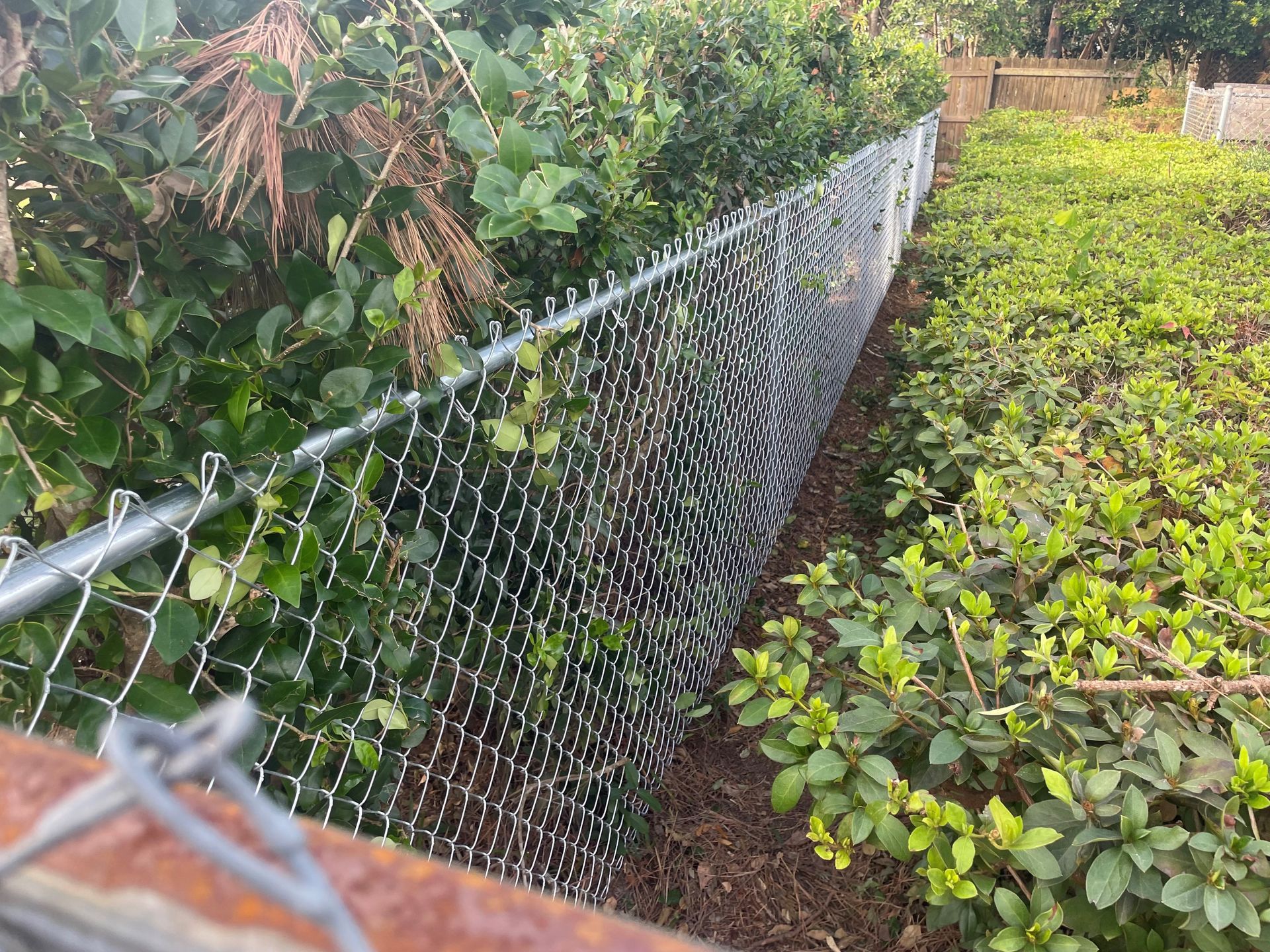 Chain-link fence separating greenery.