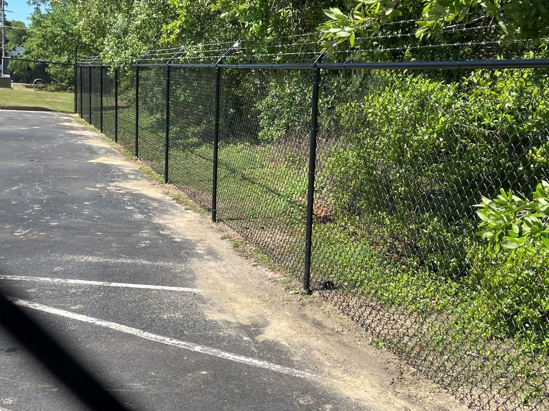 Black chain-link fence bordering asphalt parking lot and overgrown vegetation.
