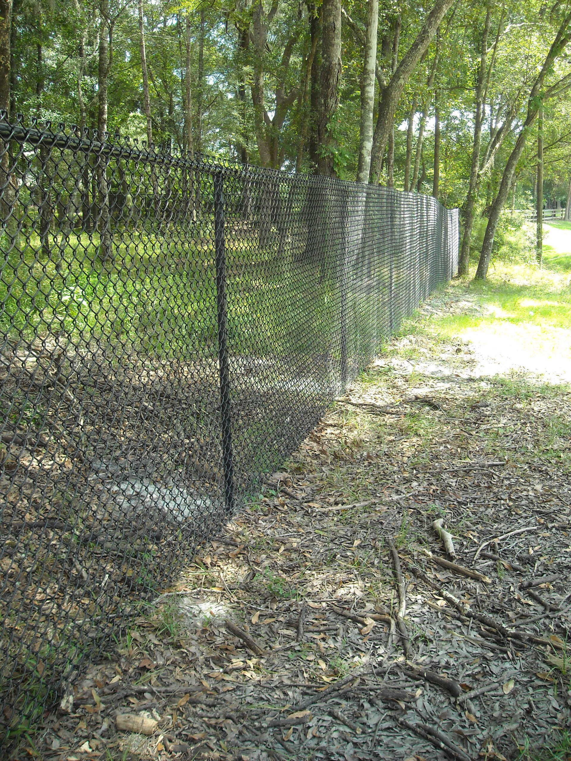 Black chain-link fence in a wooded area; leaves and foliage cover the ground.