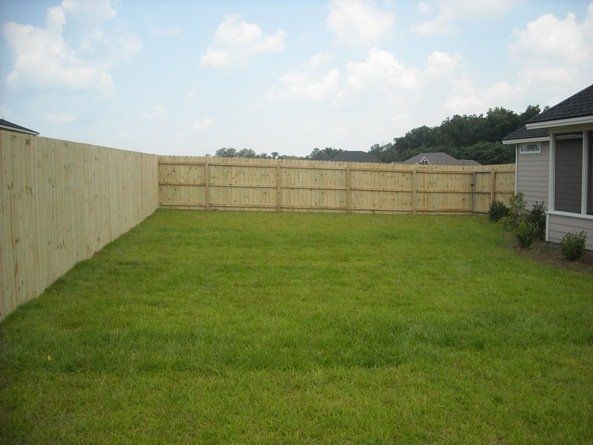 Green backyard enclosed by wooden fence under a blue sky.