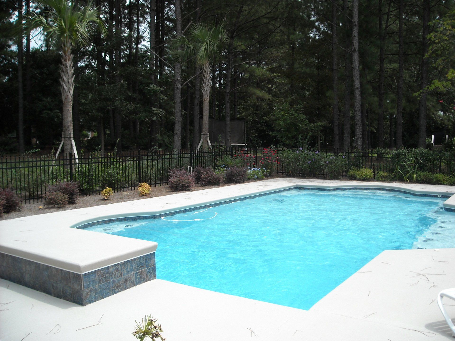 Swimming pool with blue water and surrounding concrete patio, trees in background.
