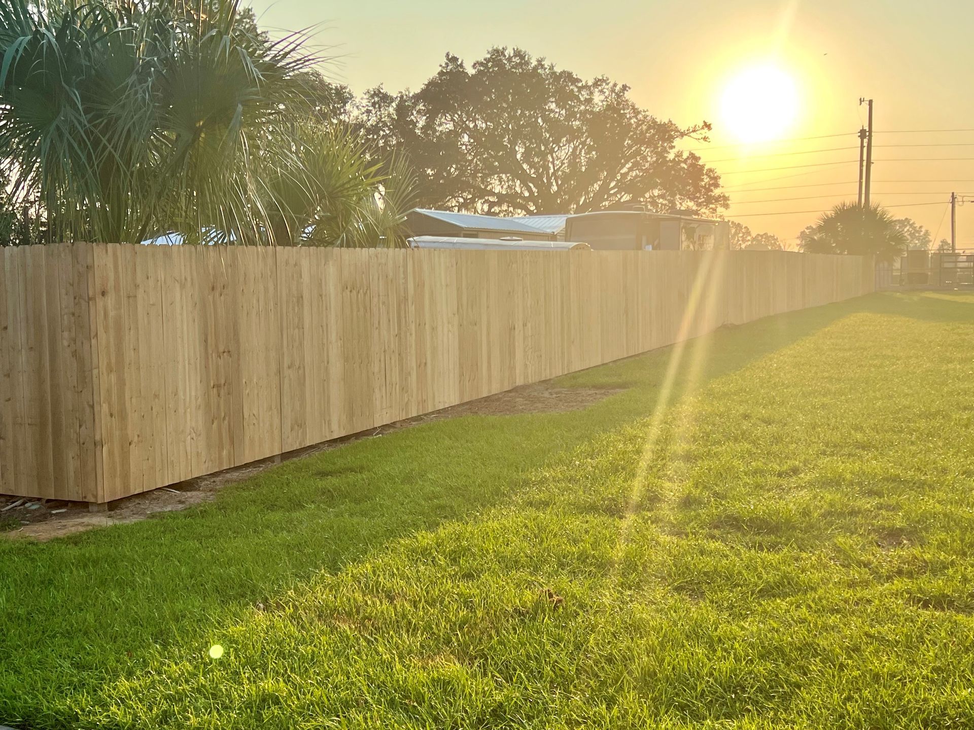 Wooden fence in a grassy yard at sunset. Bright sun in the background.