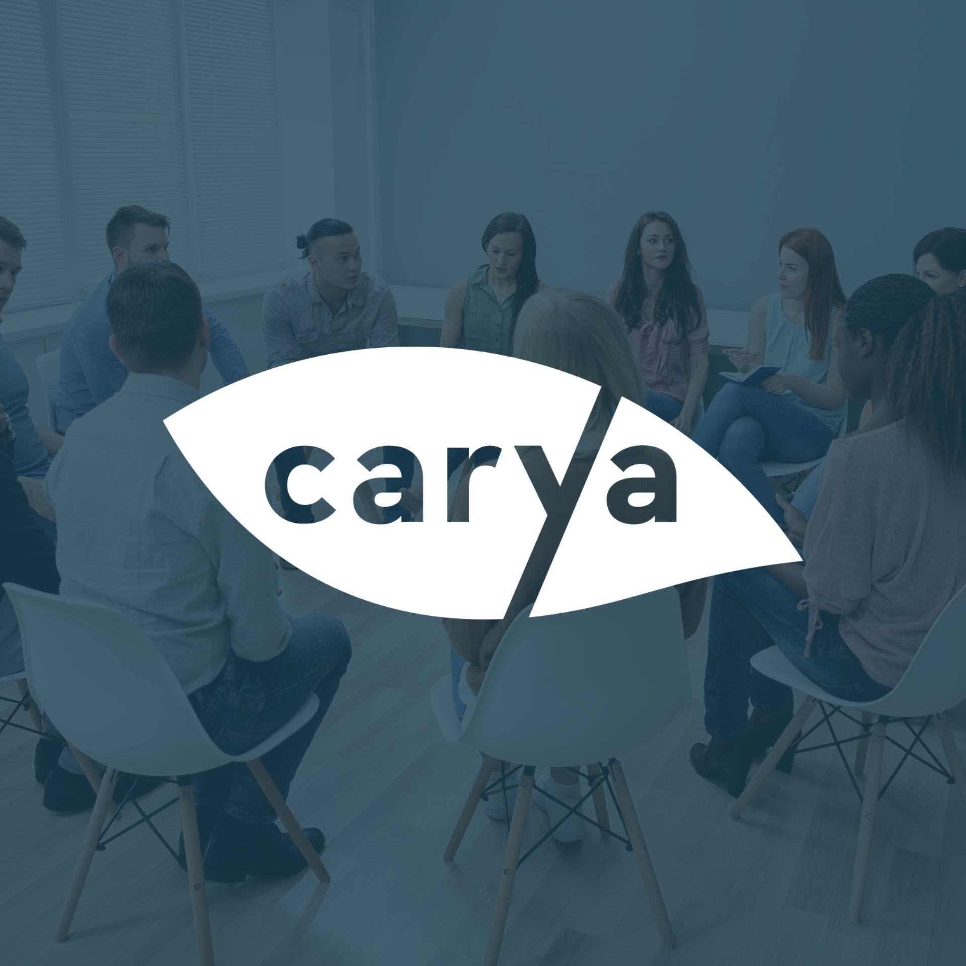 carya partner card