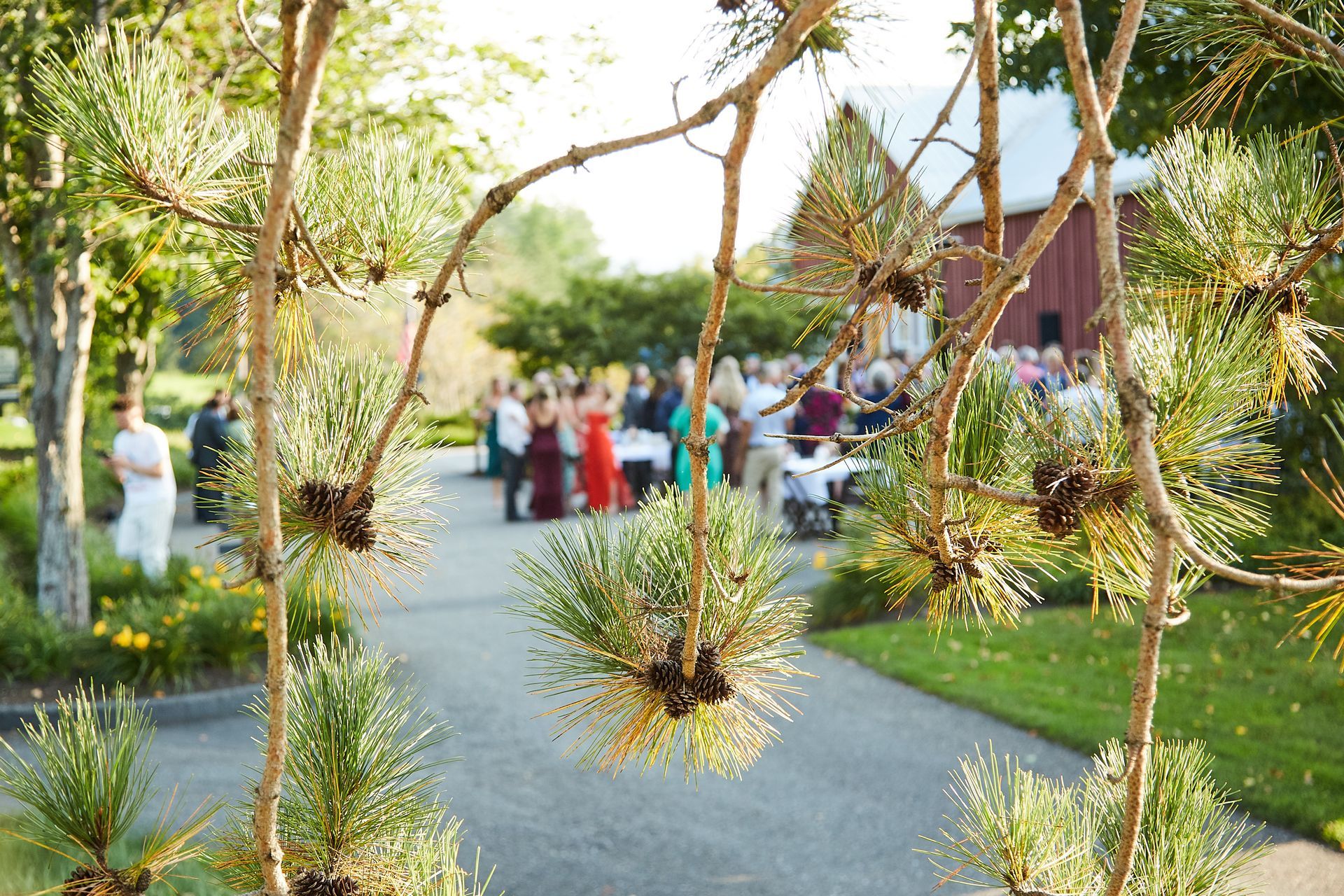 A group of people are standing in front of a red barn at a wedding reception.