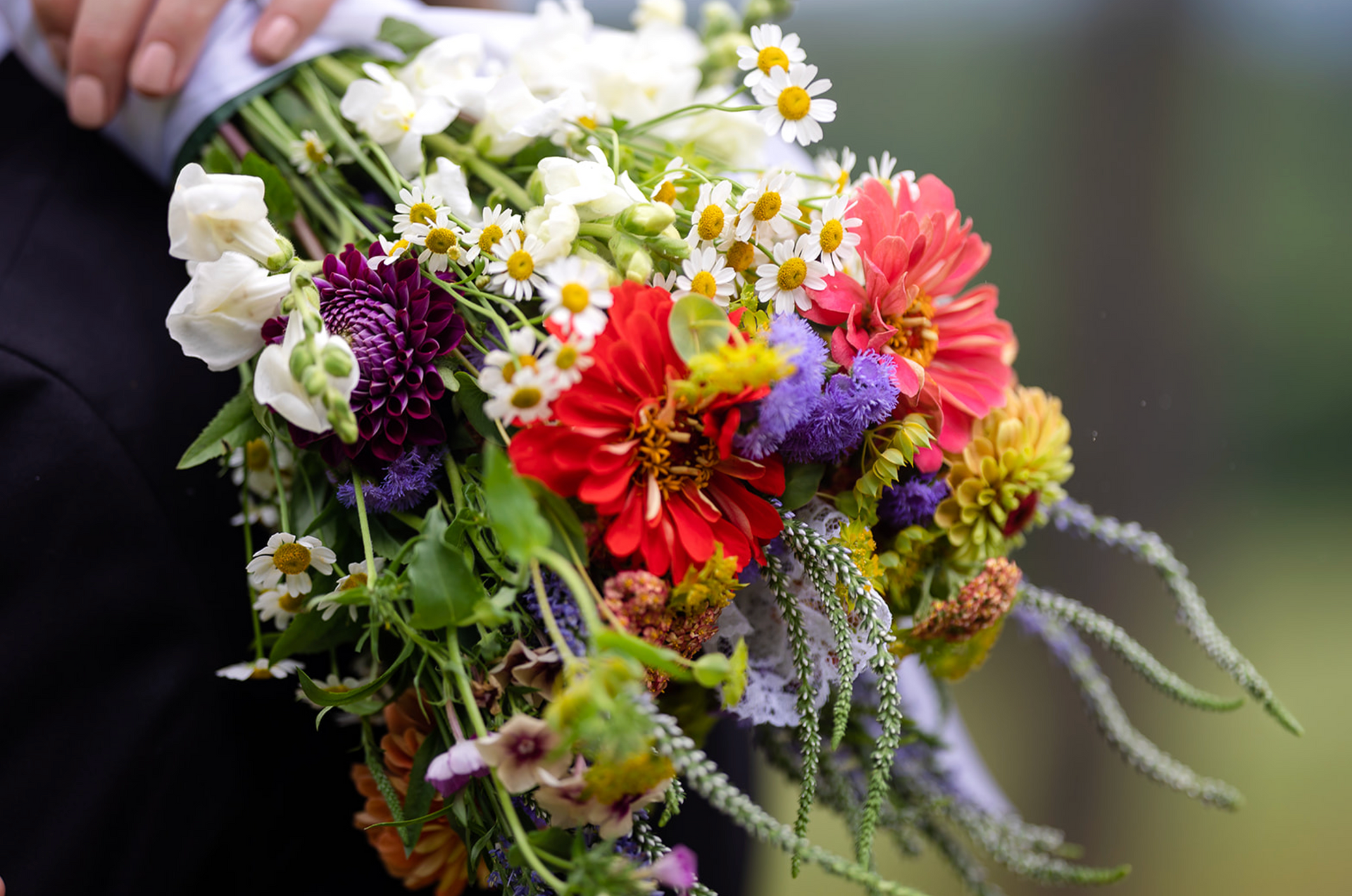 Bouquet of colorful flowers held by a person in a dark suit.