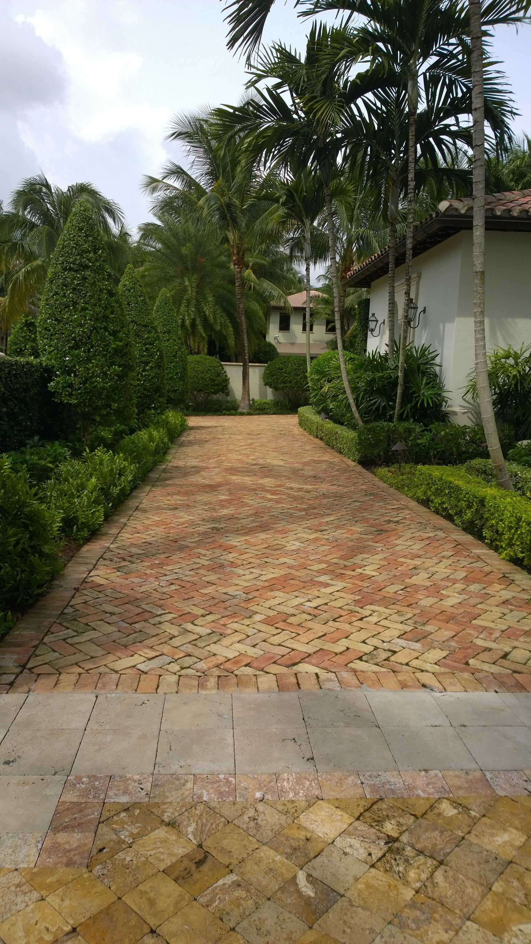 Brick garden path lined with hedges and palm trees beside a white building