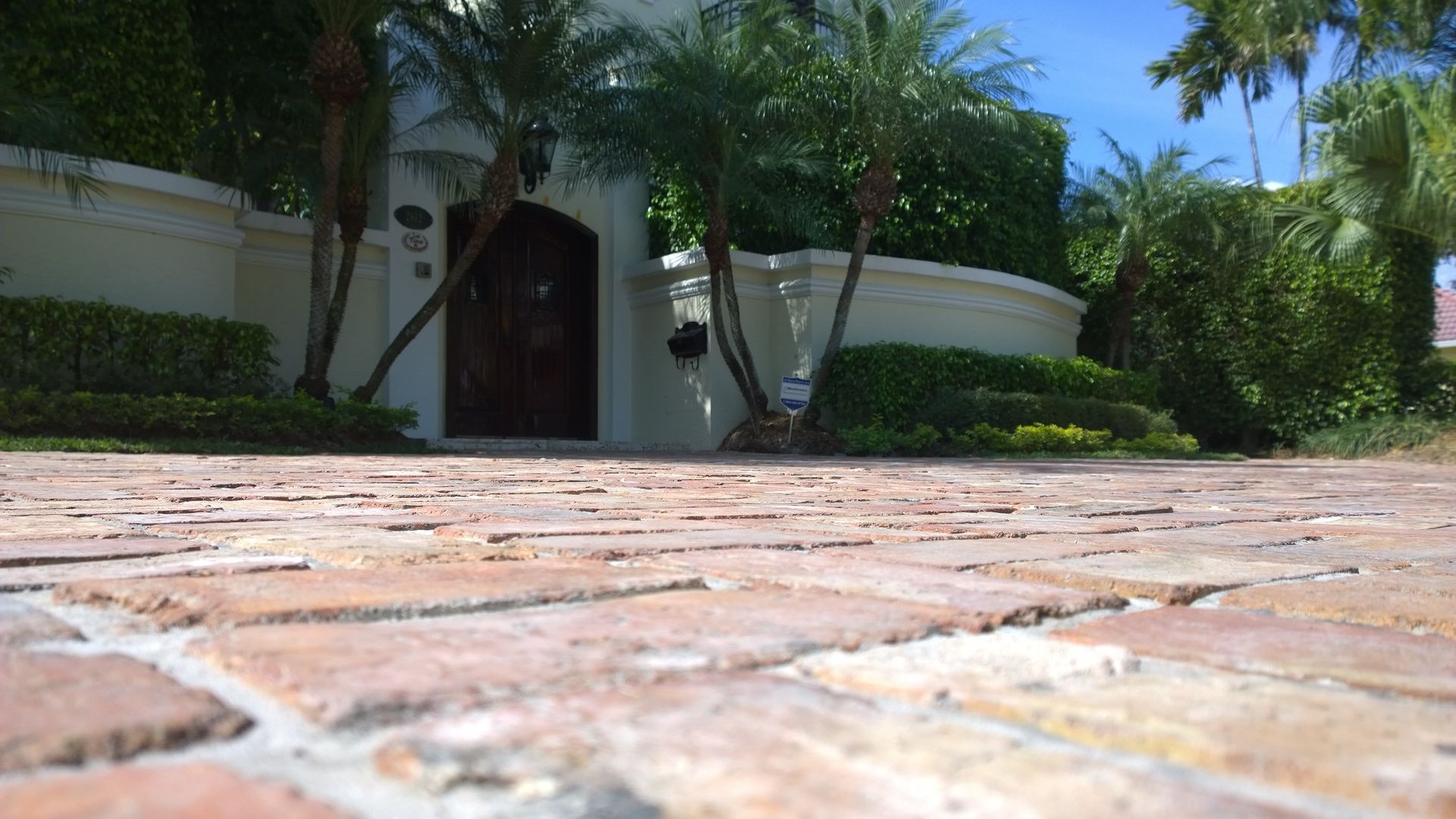 Low-angle view of a brick driveway leading to a house entrance with palm trees and greenery