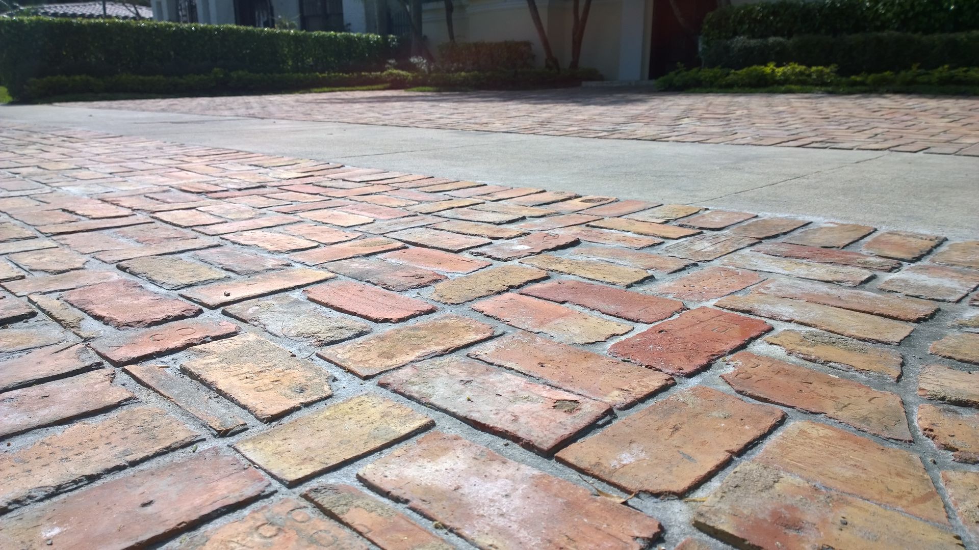 Wet brick-paved patio with orange and gray stones, viewed from a low angle.