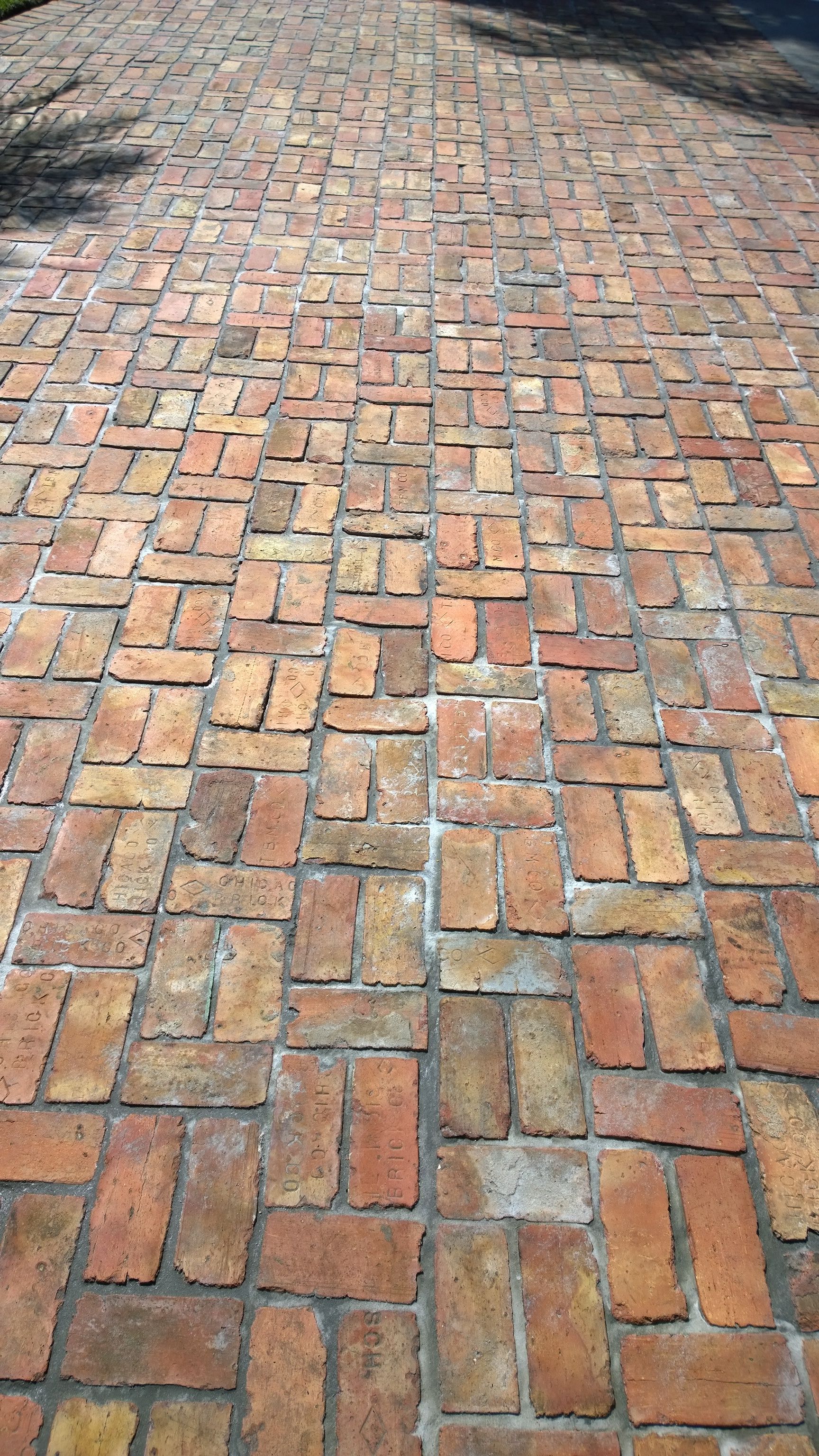 Brick walkway with uneven red and tan bricks in sunlight