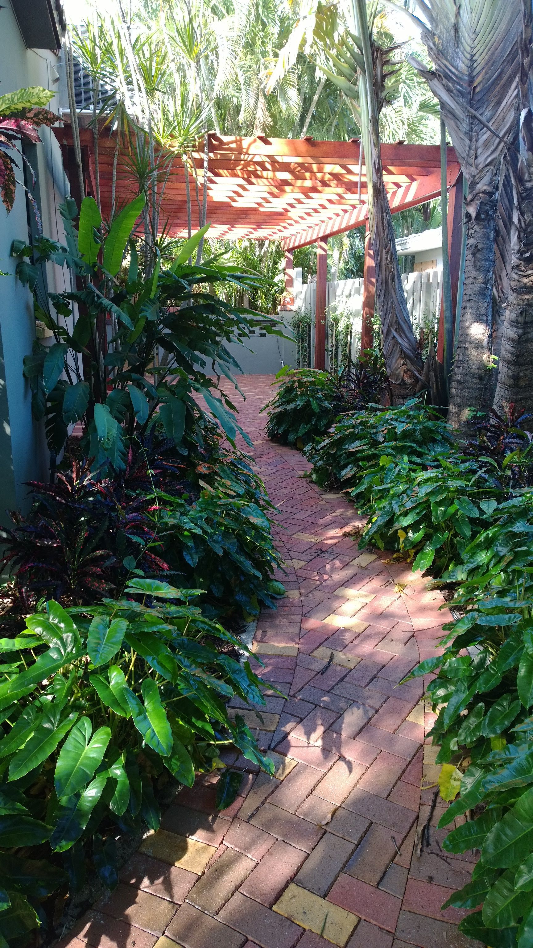 Brick pathway through a lush green garden with sunlight and a trellis overhead