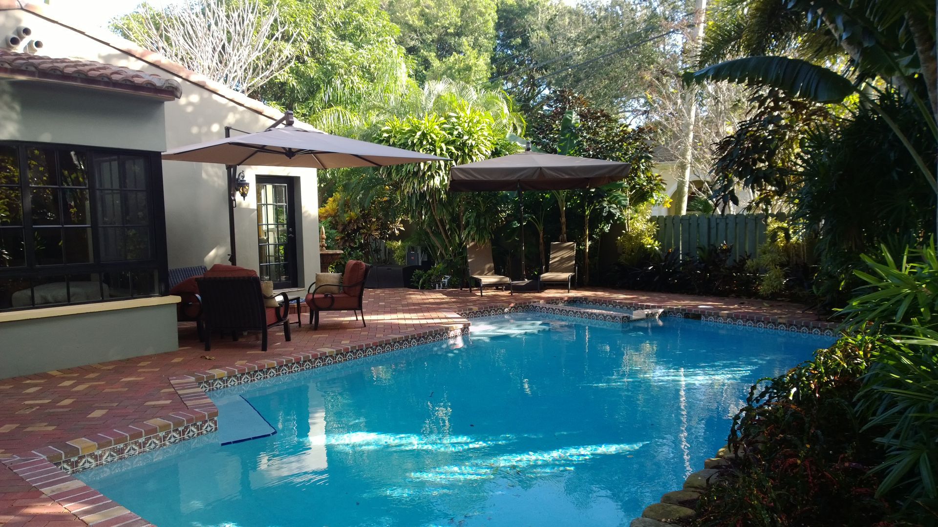 Backyard swimming pool beside a patio with chairs, umbrellas, and lush greenery