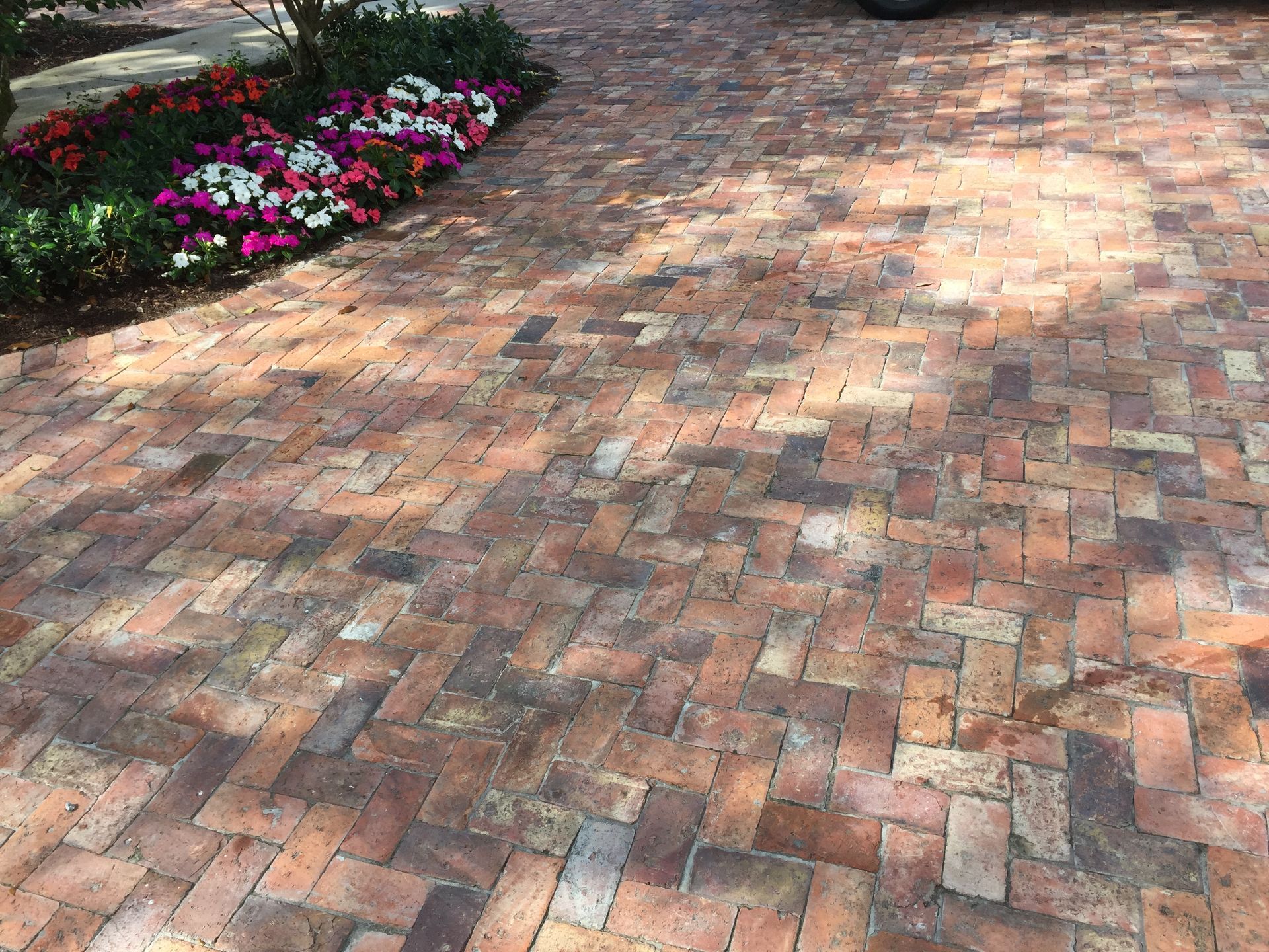 Brick walkway beside a flower bed with pink, white, and purple blooms