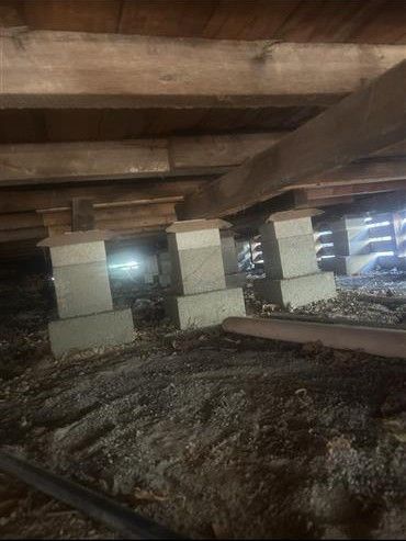 Under a concrete structure, muddy ground with support pillars and daylight filtering through slats Under a concrete structure, muddy ground with support pillars and daylight filtering through slats
