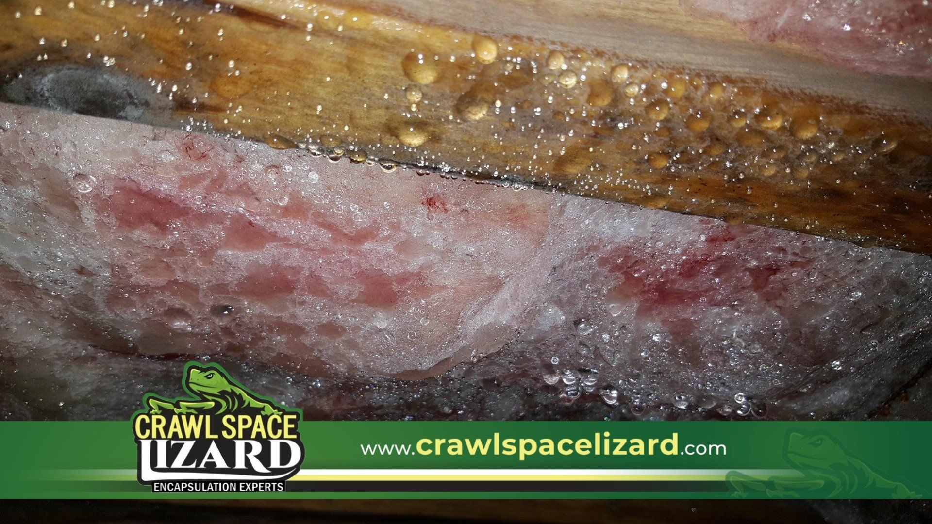 Crawl Space Moisture Control in Roswell, GA