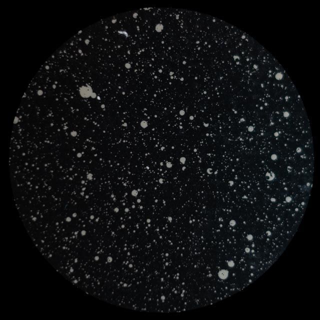 White speckled dots on a black background, resembling a starry night sky.