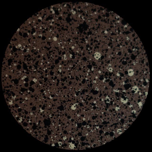 Brown, speckled surface with black and white dots, in a circular shape.