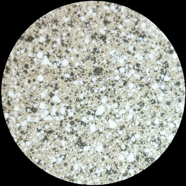 Microscopic view of a speckled, beige surface with scattered dark and white spots.
